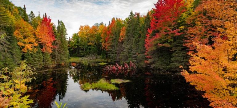 A lake in Michigan during autumn.