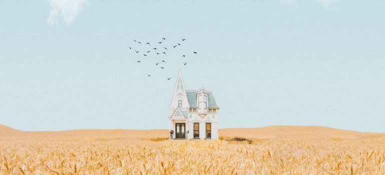 A house in the middle of a wheat field.