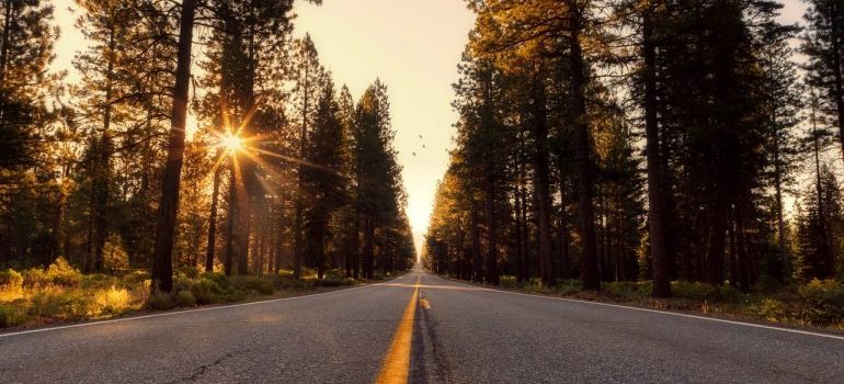 A highway during the sunset hours.